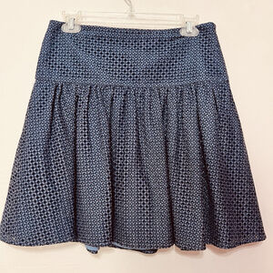 Ann Taylor Mini‎ Skirt Womens 4 Blue Eyelet Pleated Lined A-Line Zip Side